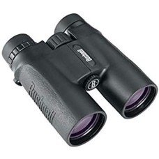 Binocular 